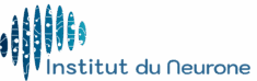 Institut du Neurone